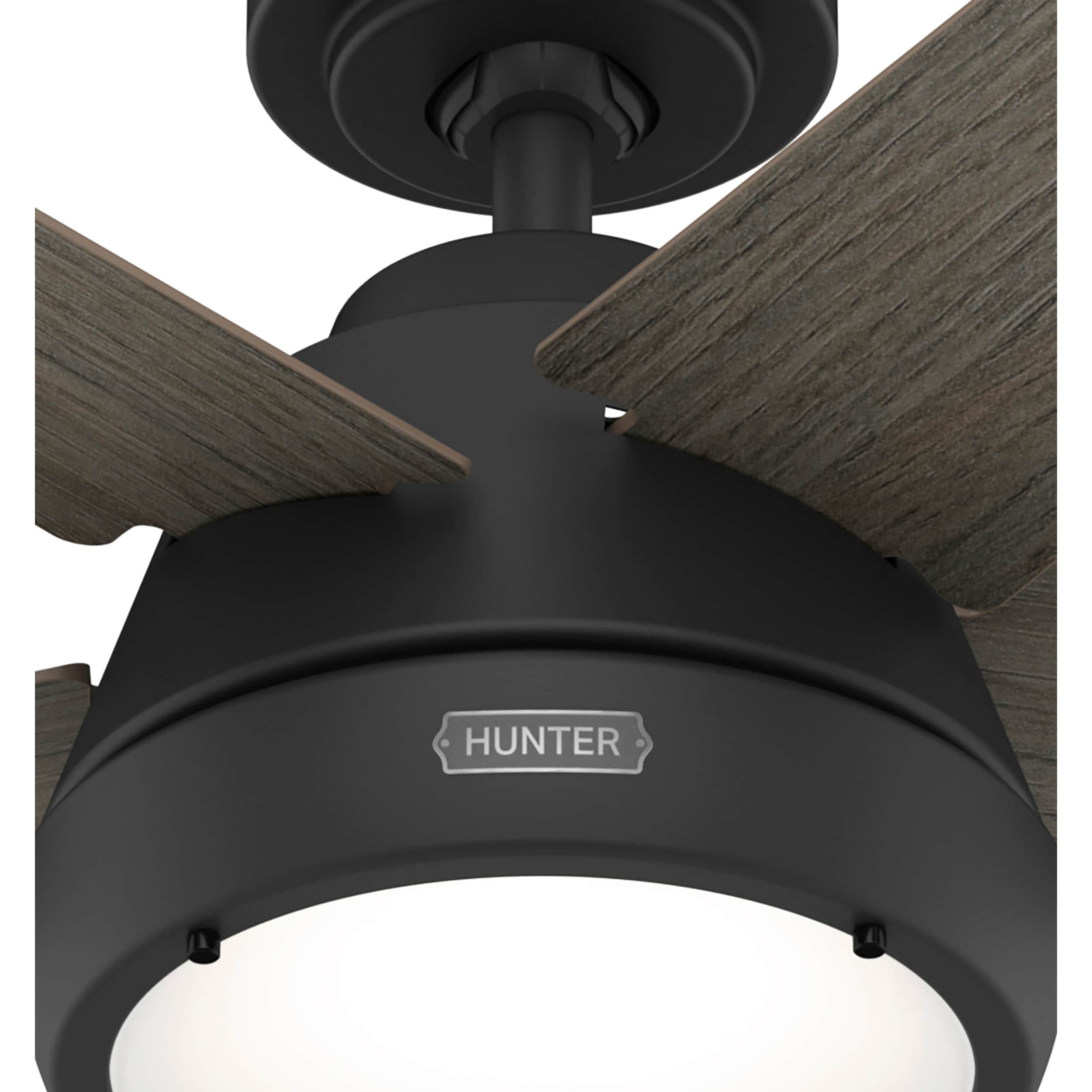 Hunter 52422 Ceiling-Fans - View #14