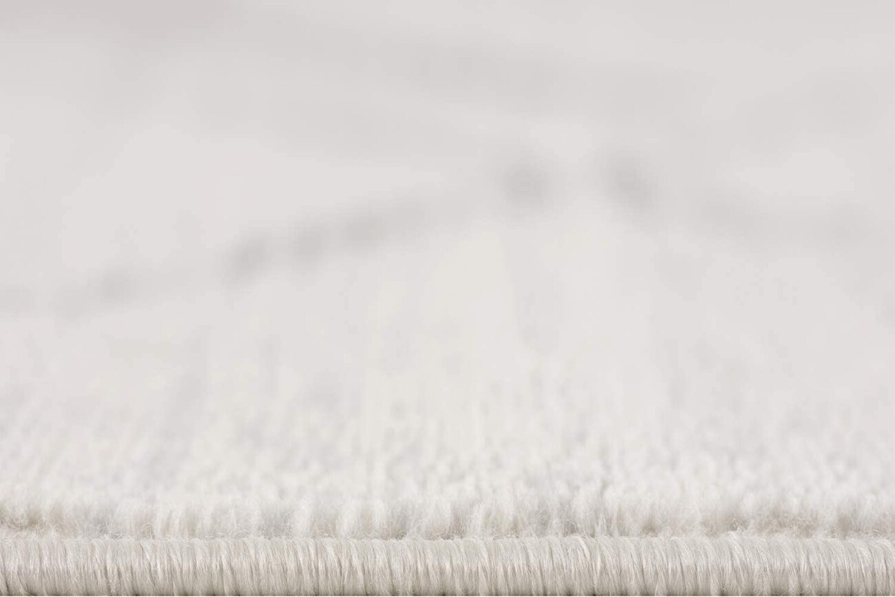 HomeRoots 4000392888 rugs - View #10
