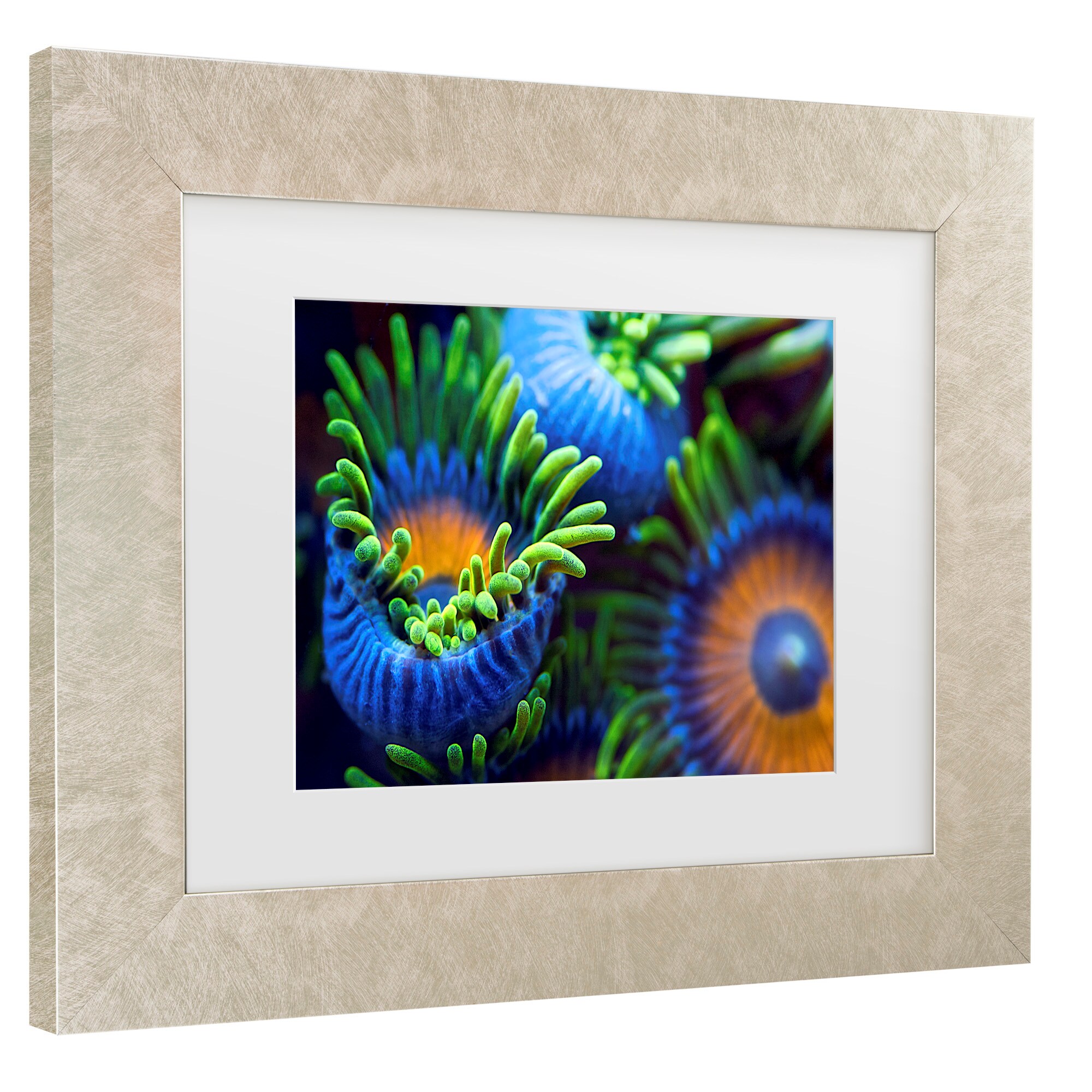 Trademark Fine Art 1X10263-C1114MF Wall-Art - View #3