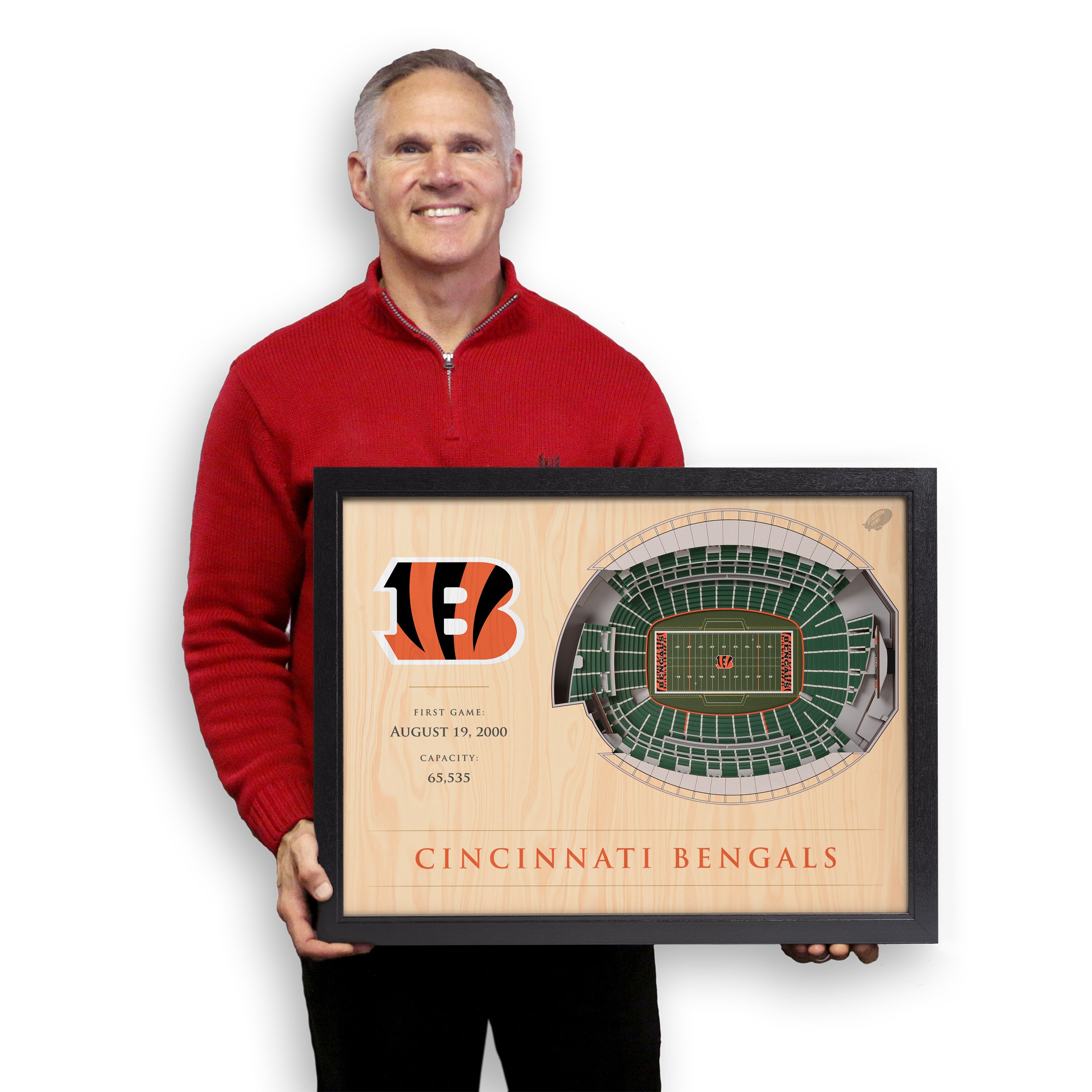 Cincinnati Bengals 25 Layer StadiumViews 3D Wall Art