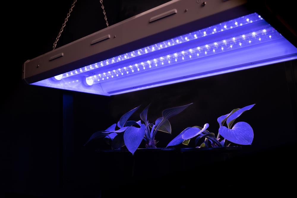 Utilitech GR-FX-2T Grow-Lights - View #2