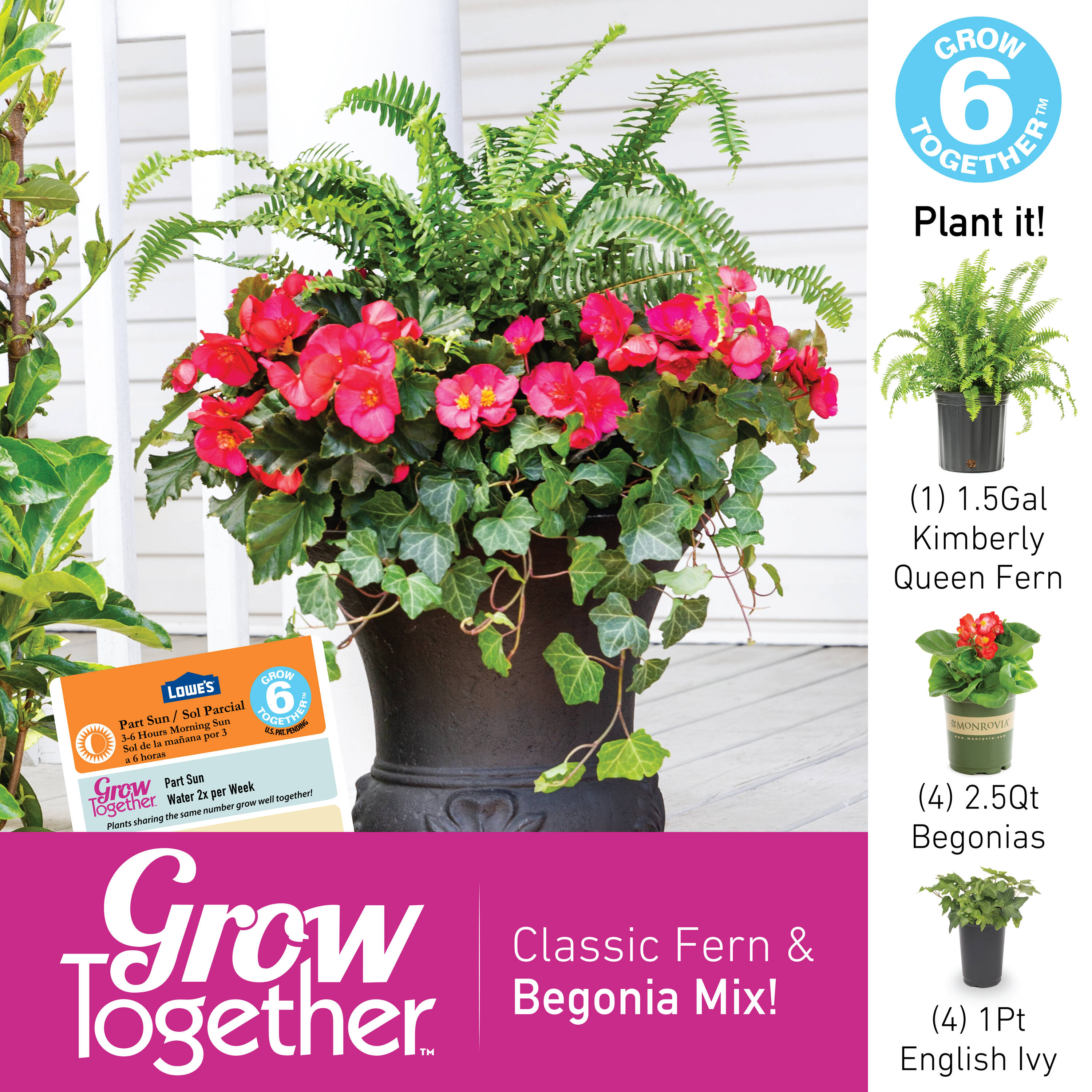 Monrovia 5010 annuals - View #5