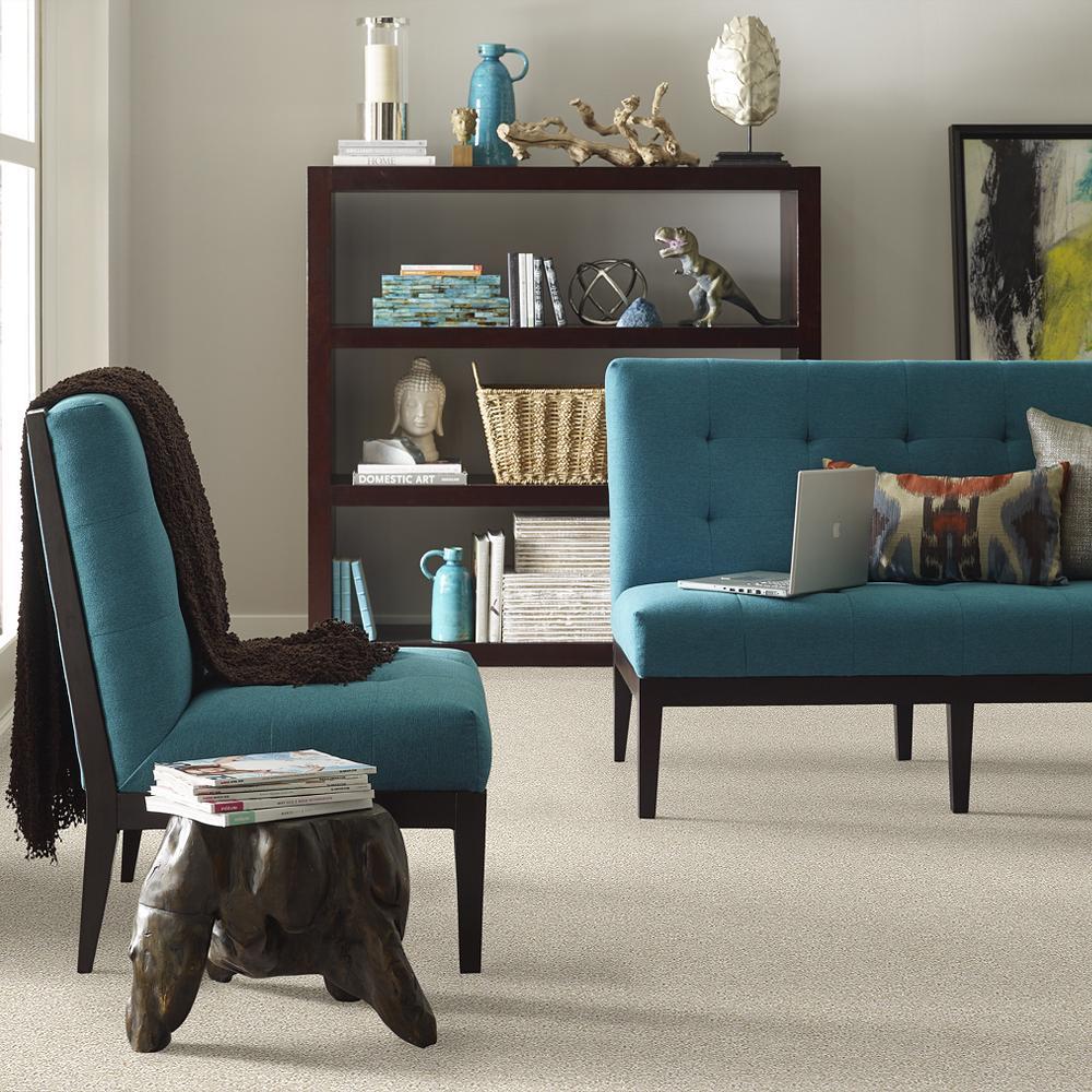 STAINMASTER 7L71900114 Carpet-Panel - View #4