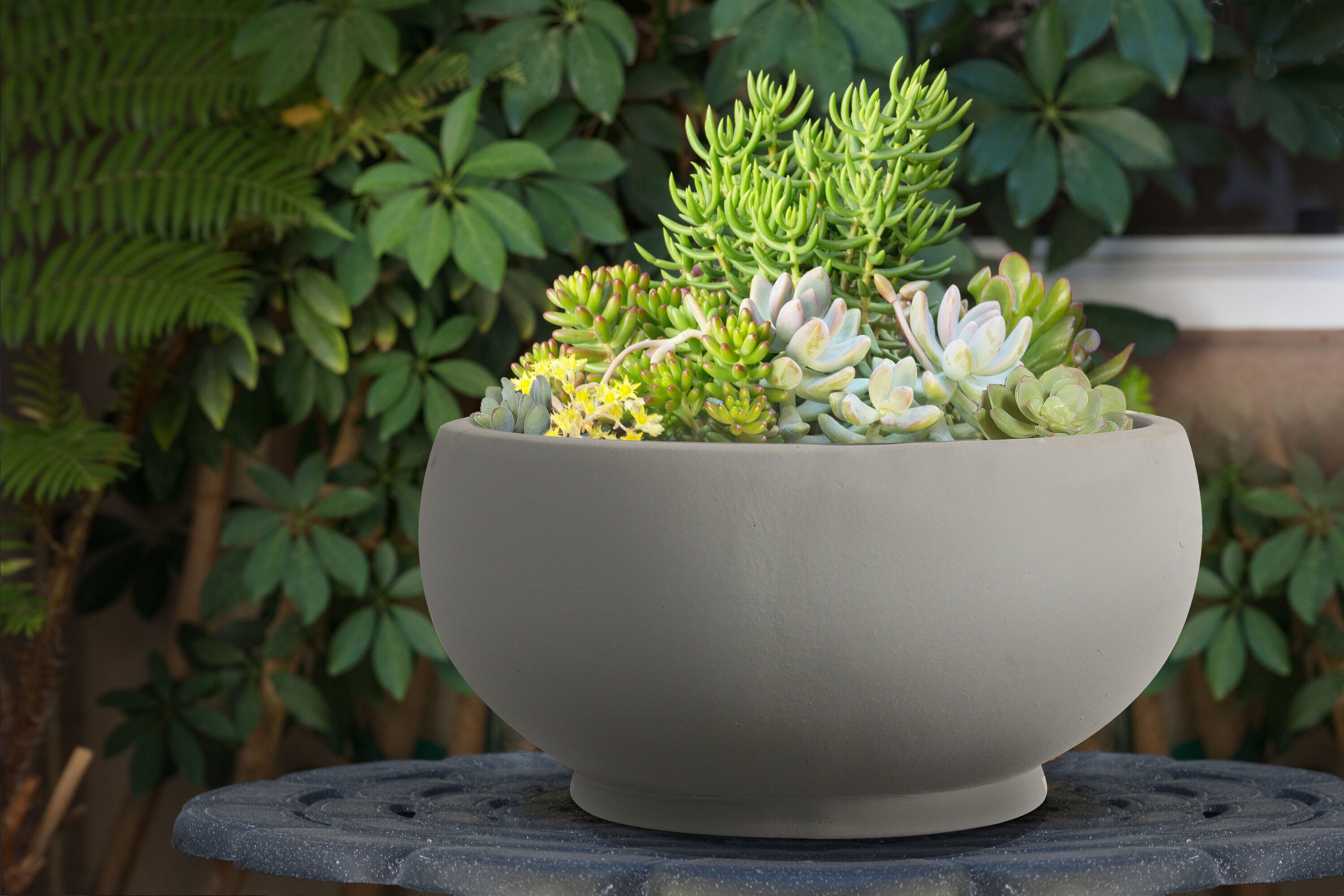 12 Extra Large Low Bowl Planters for Stunning Plant Designs - ePlanters