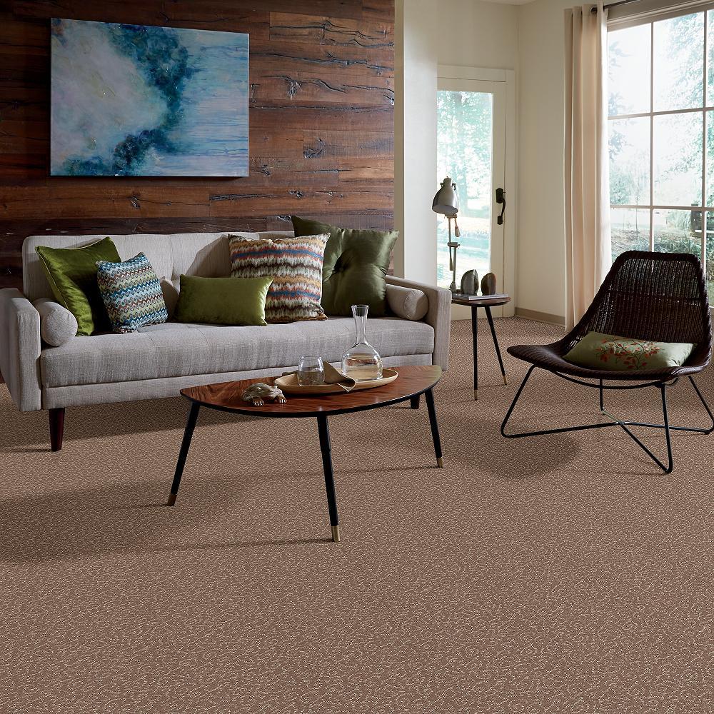 STAINMASTER B705300040 Carpet-Panel - View #5