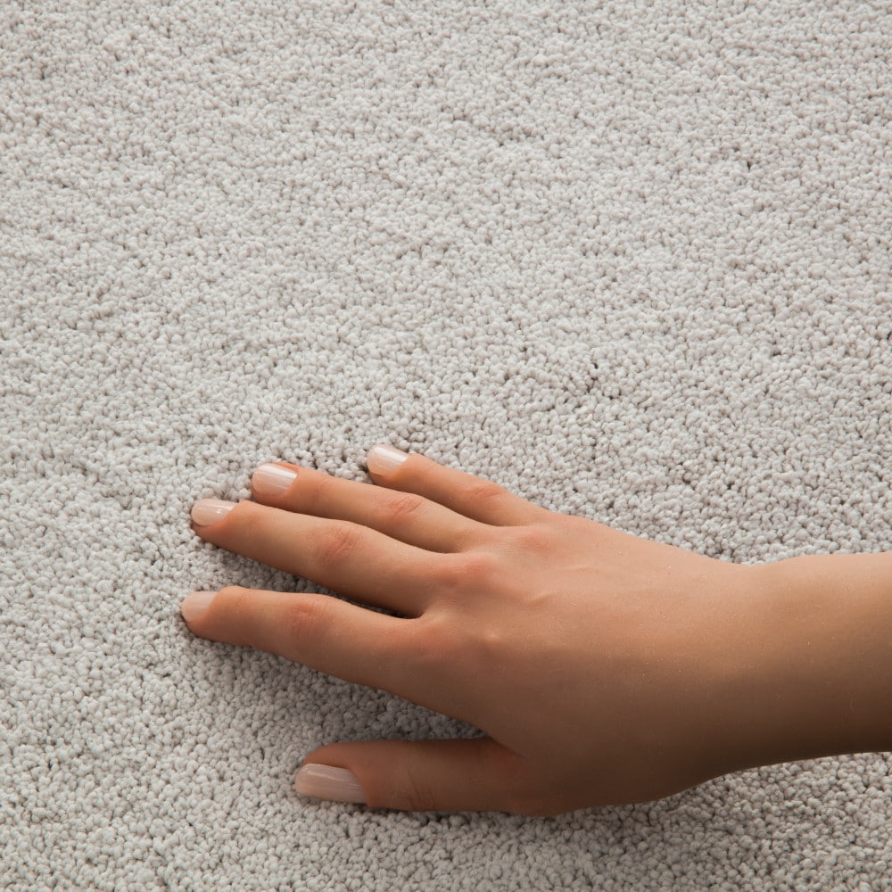 STAINMASTER PetProtect 7L970-500-SAMP Carpet-Samples - View #4