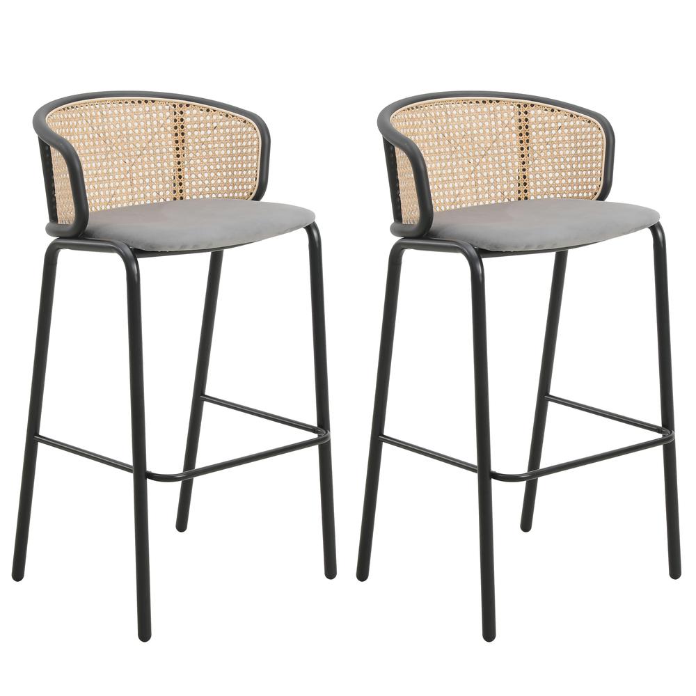 Leisuremod BG3465920 Seat and Black Powder Coated Steel Frame Set of 2