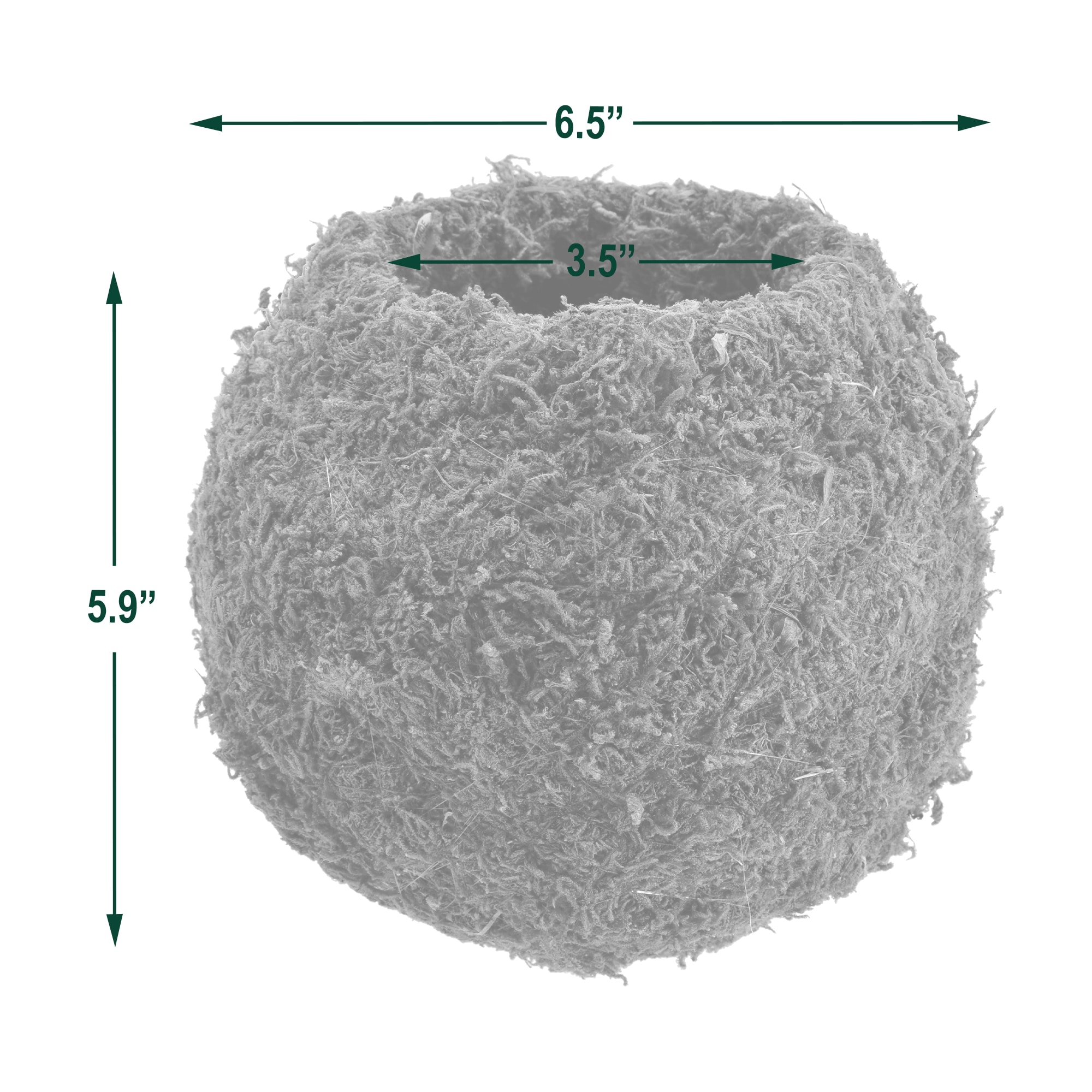 Small Green Moss Ball Planter Set with Metal Frame