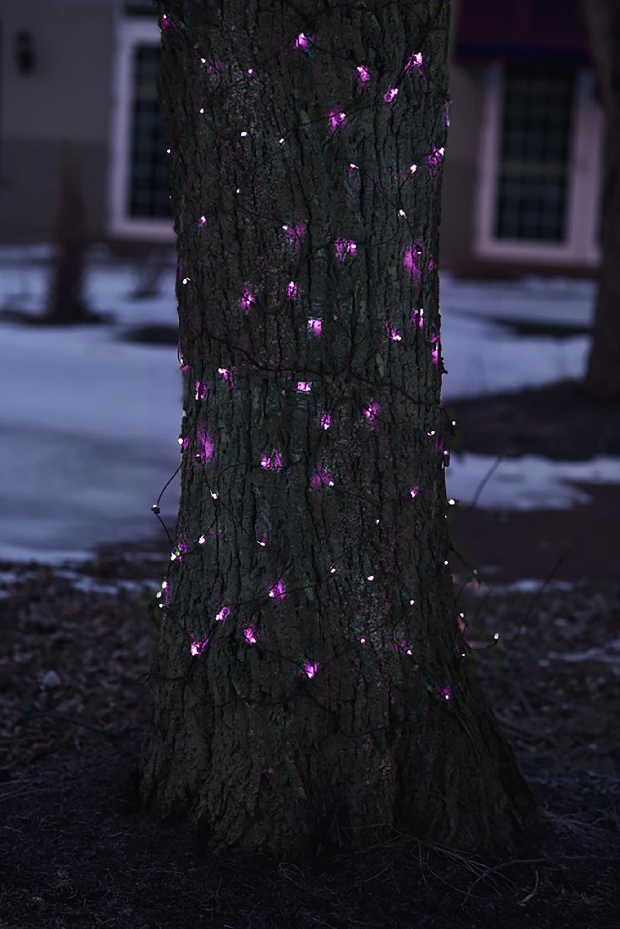 Northlight 32604126 Christmas-String-Lights - View #4