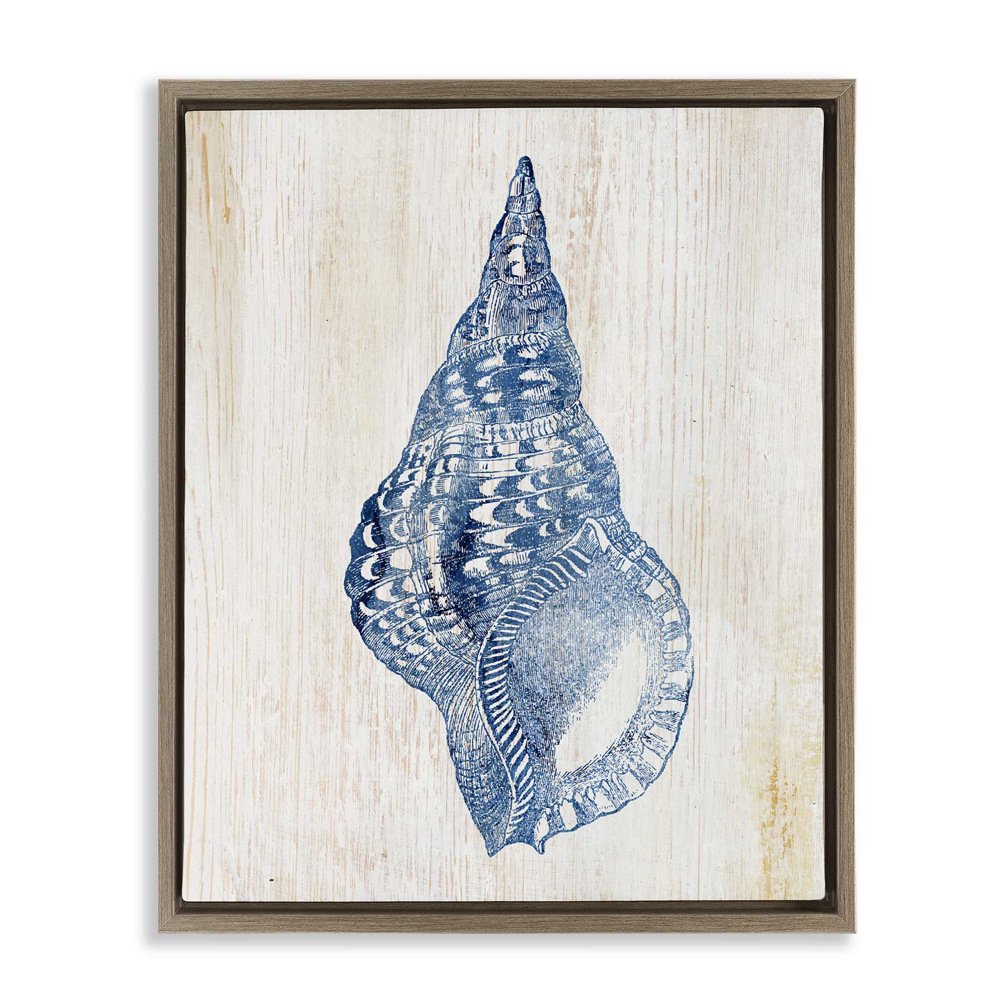 Stupell Industries BS-155-FFE-24X30 Tranquil Blue Shell Floating Frame design by Susan Arnot