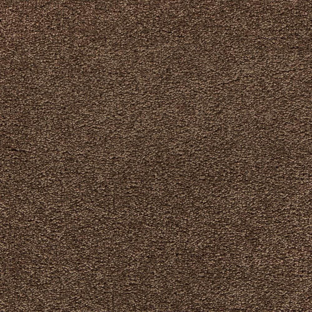 STAINMASTER Uptown Trend II Ancient Oaks Brown 48-oz sq yard Polyester ...