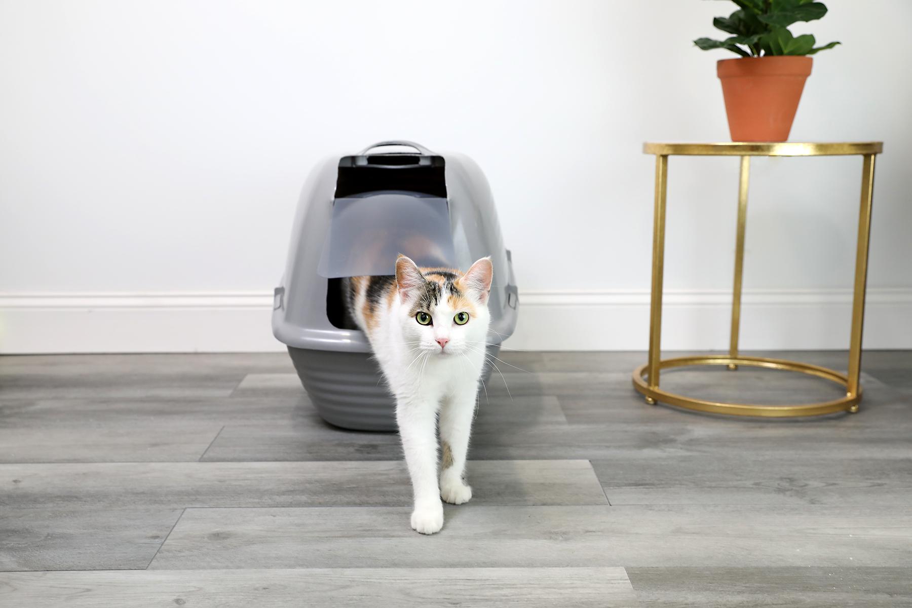 Arm & Hammer 22191 Cat-Litter-Box - View #4