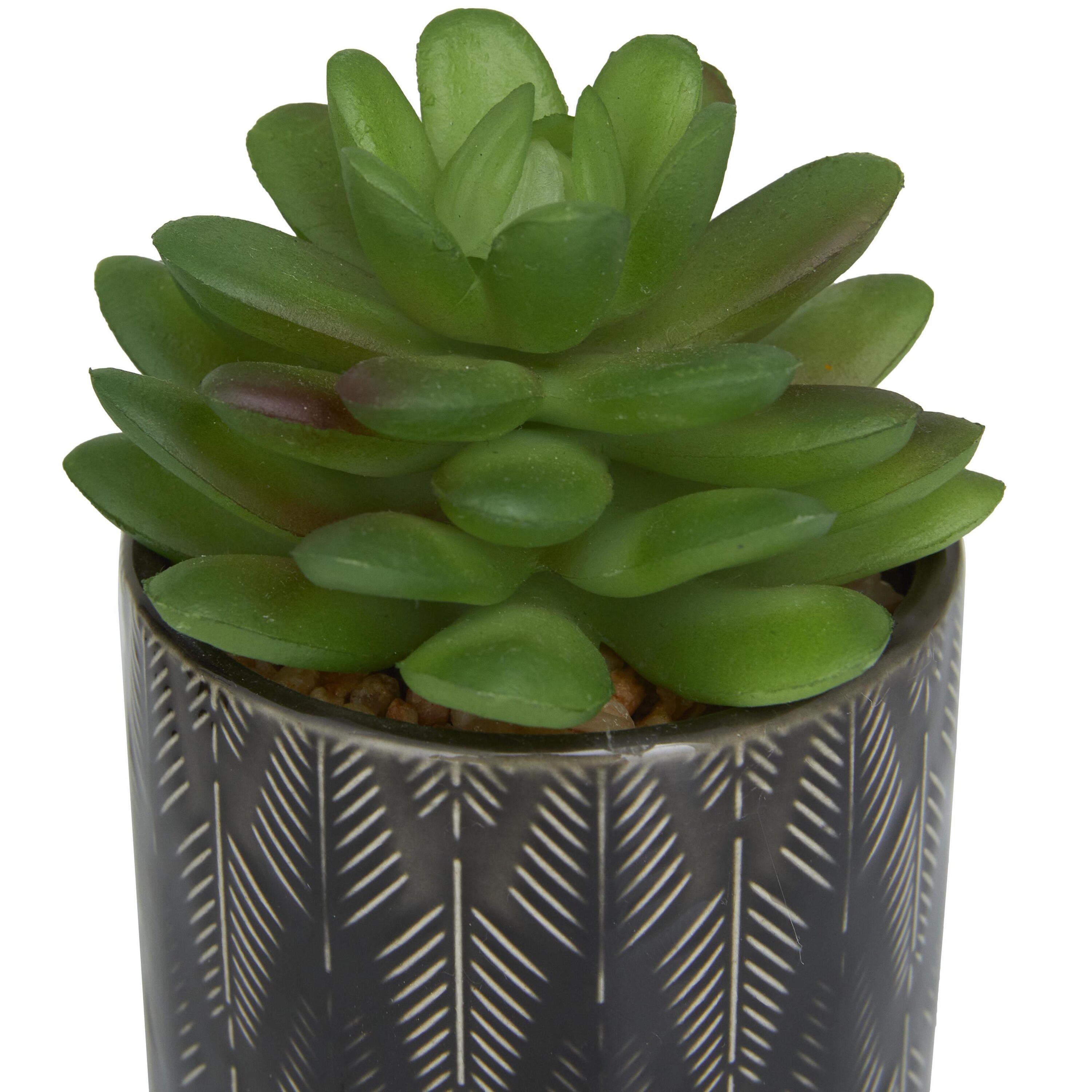 The Novogratz 820184 Artificial-Plants-Trees - View #6