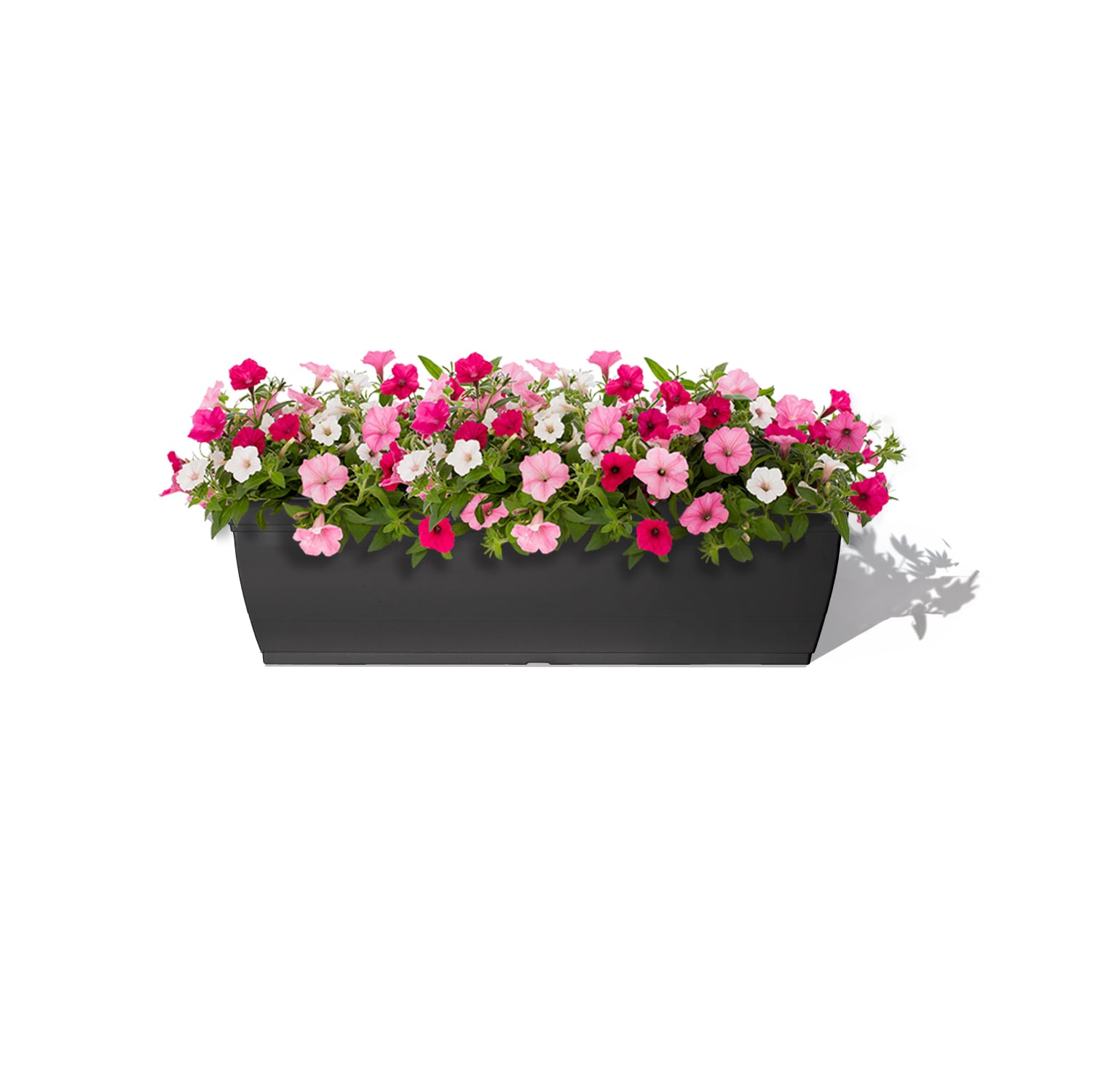 Style Selections WB2132G-BLACK Planter-Window-Box - View #2