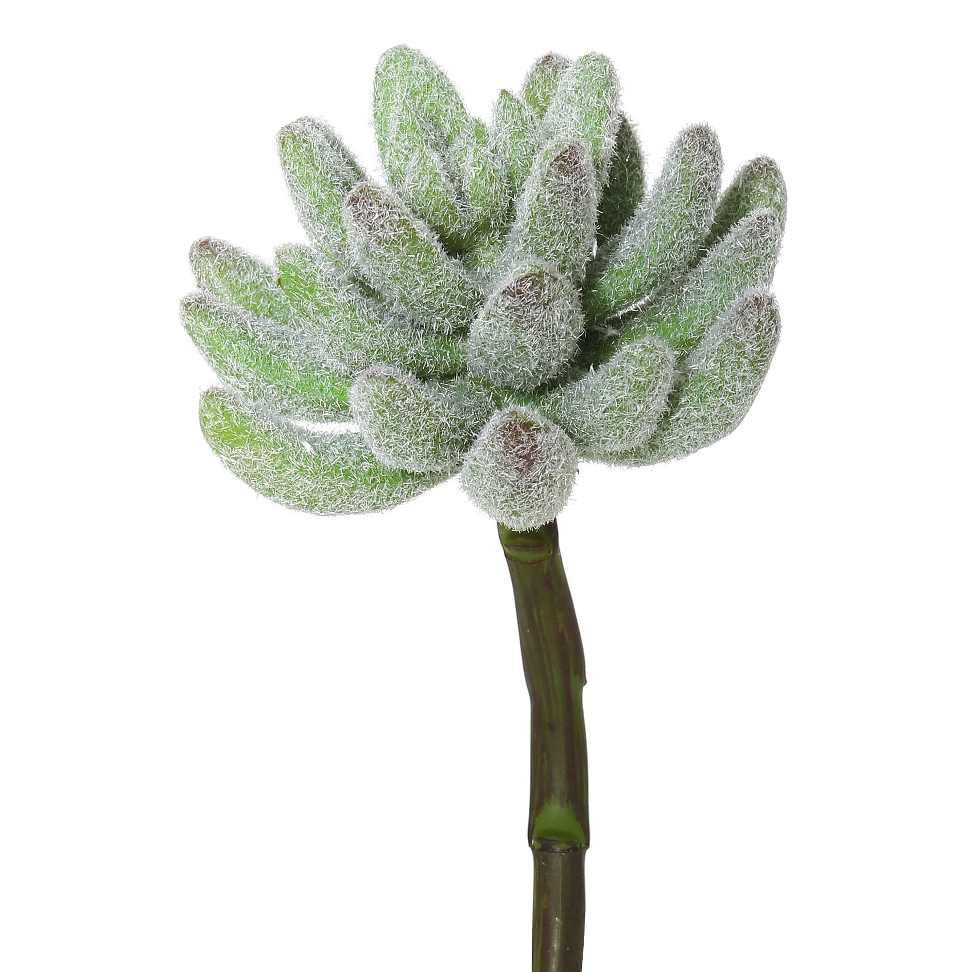 Vickerman FE170501 6-in Green, Red Indoor Succulent Artificial Plant