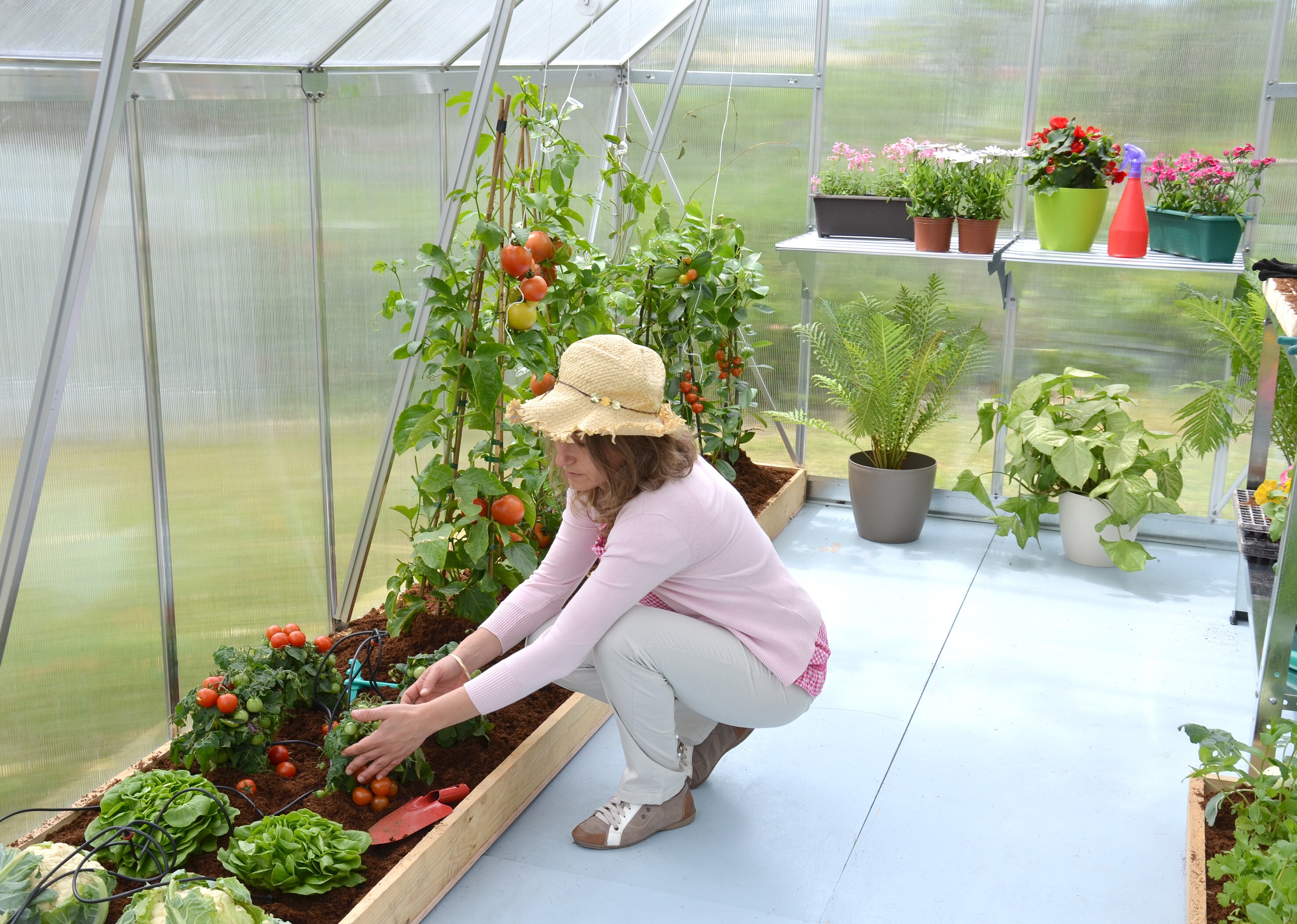 Canopia by Palram 701944 greenhouses - View #8