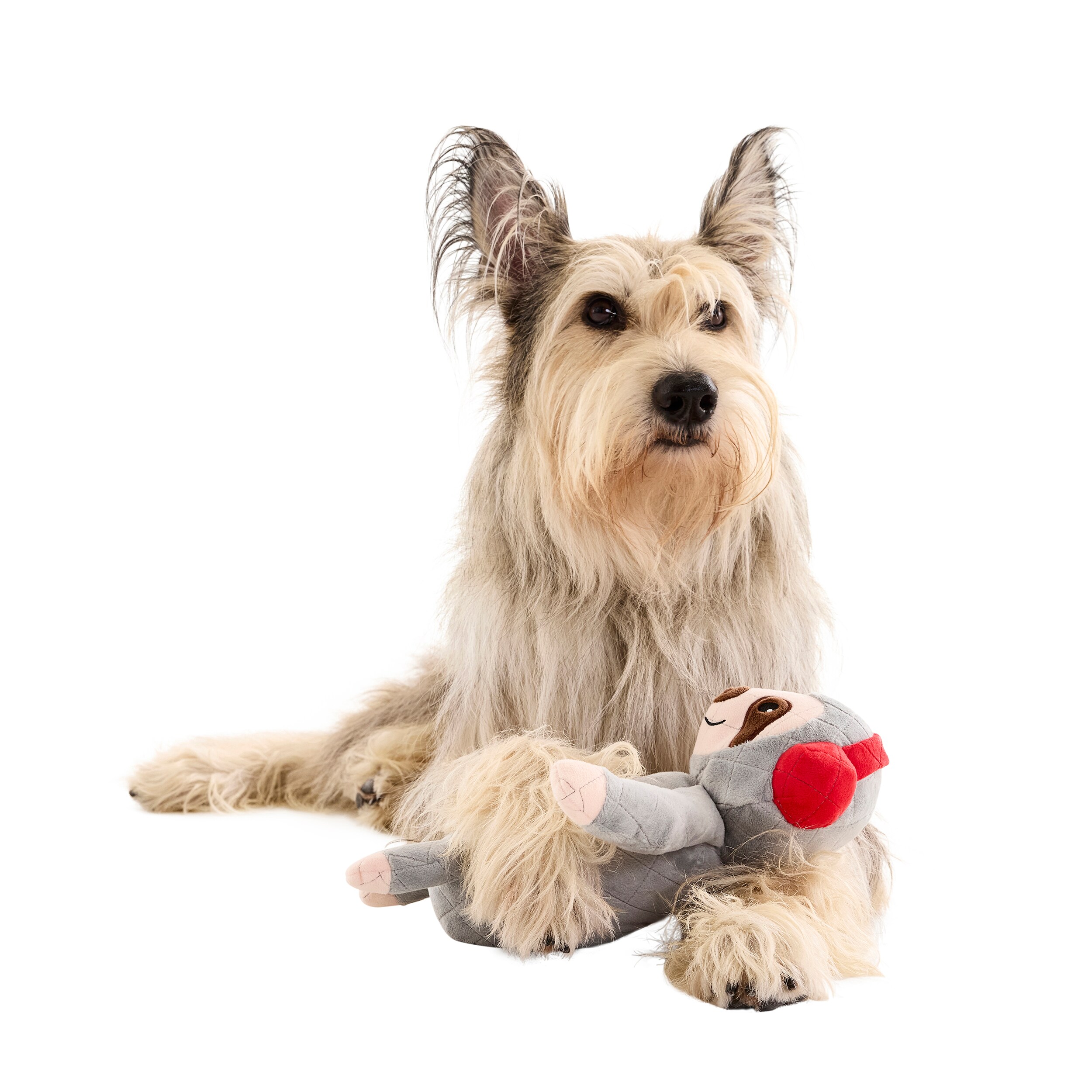 Holiday Living YT2501 Dog-Toys - View #9