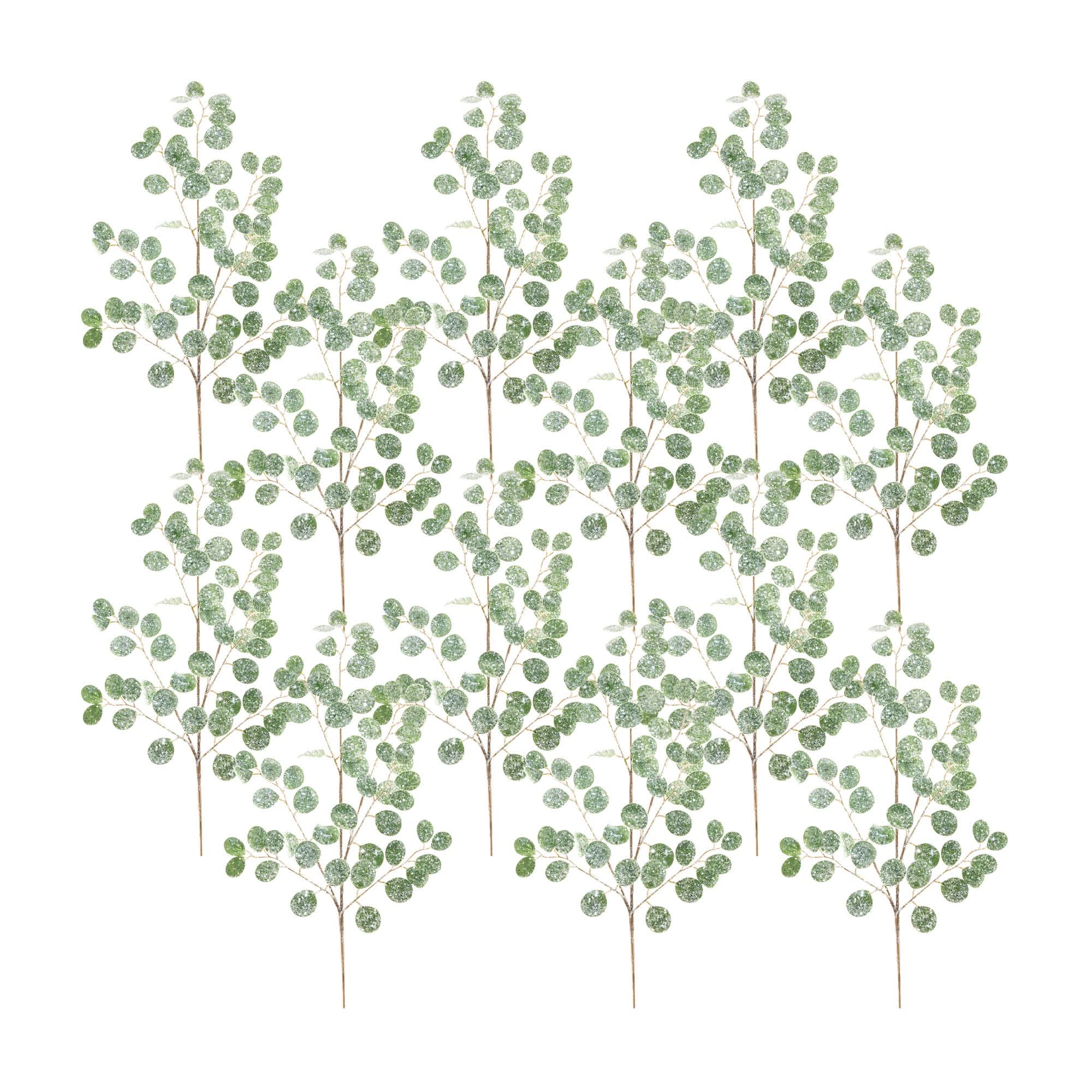 Melrose International Frosted Silver Dollar Eucalyptus Spray (Set of 12)