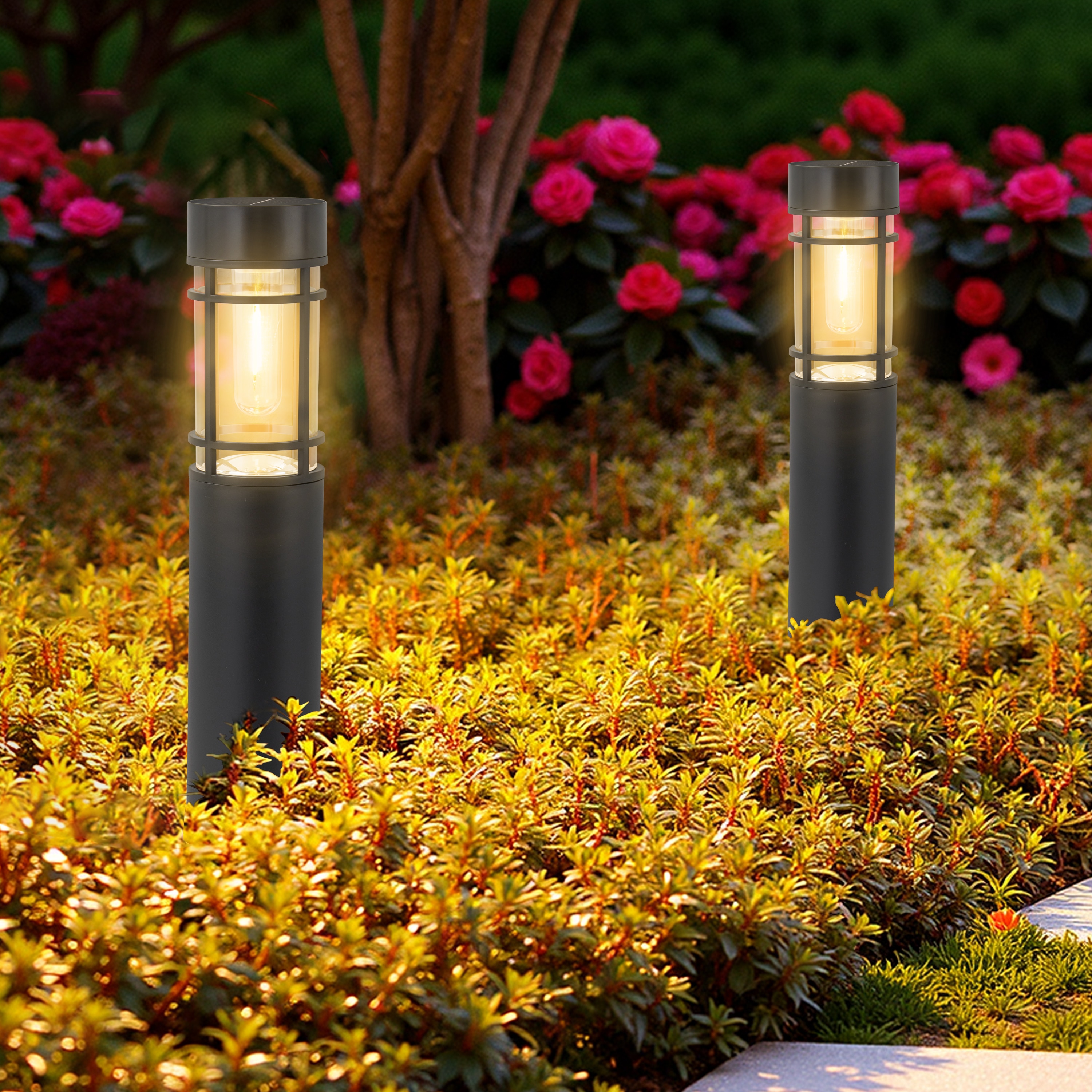 C Cattleya LCA2634-12L Path-Lights - View #6