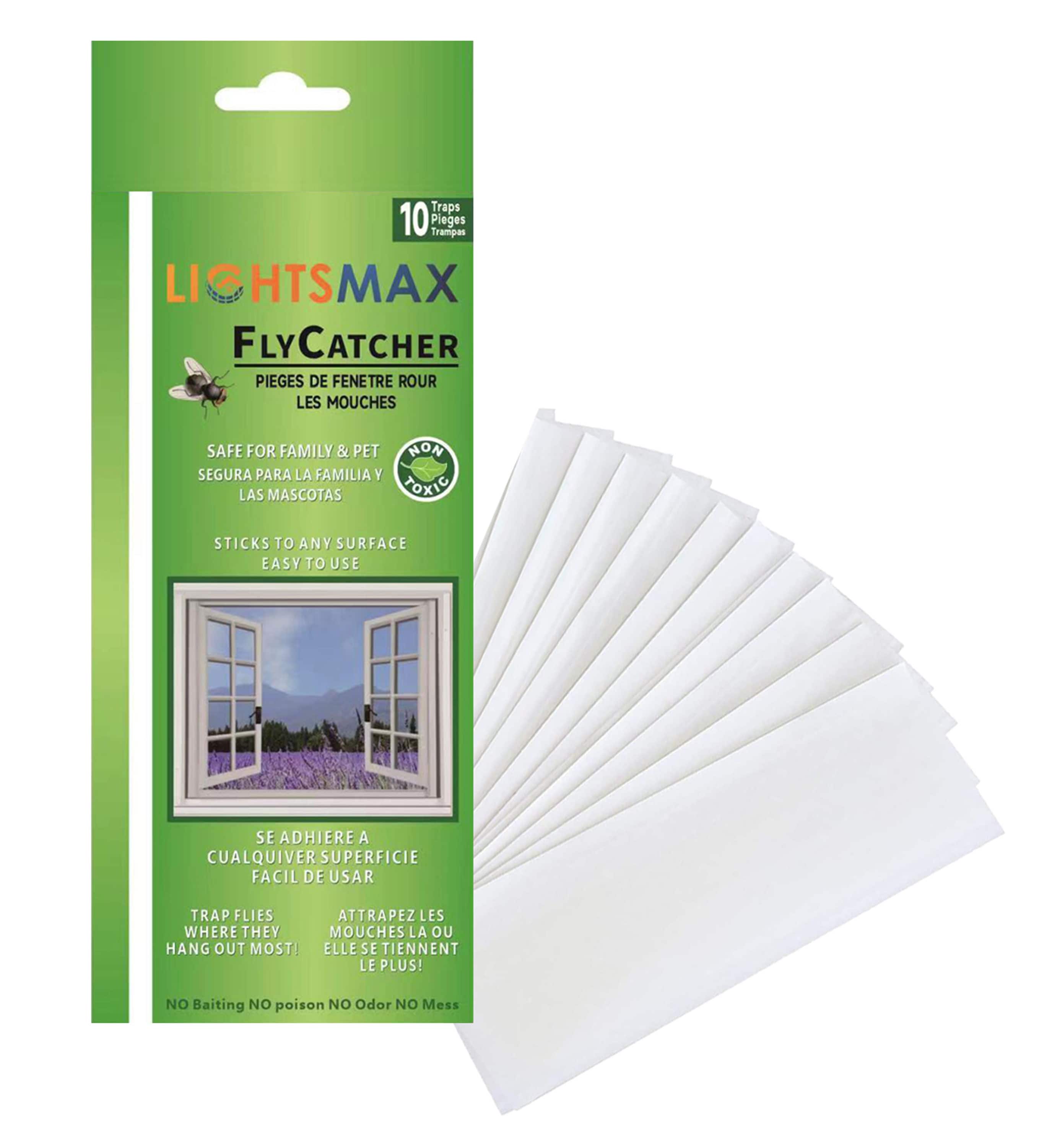 LIGHTSMAX Indoor/Outdoor Insect Trap (10-Pack) in Clear | FTPWTX10