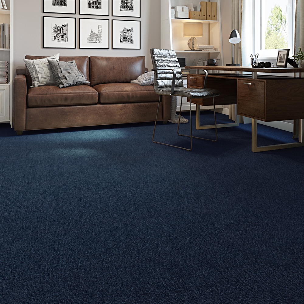  LC72-12-L001 Carpet-Panel - View #3