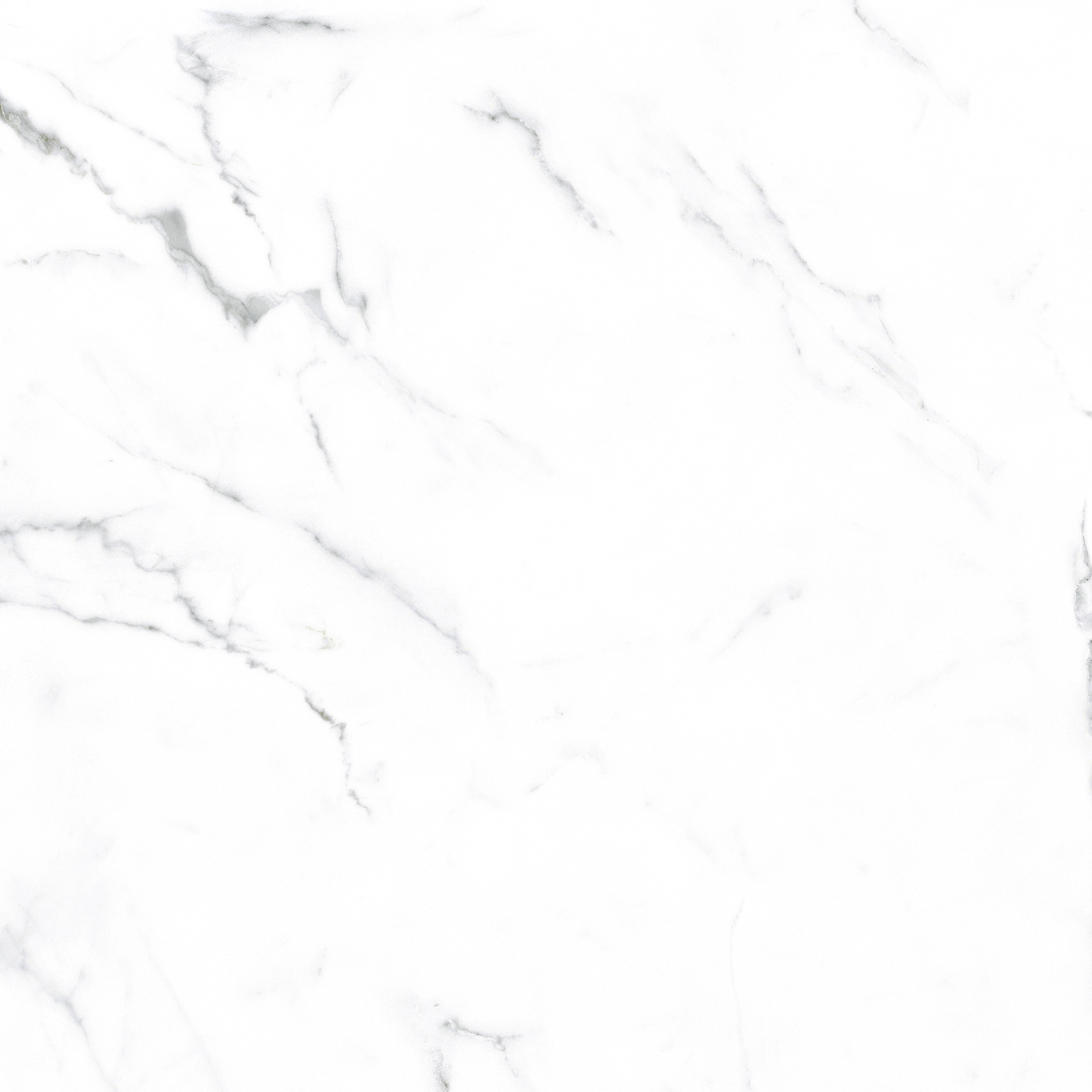 Style Selections Calacata White 20-in x 20-in Glazed Ceramic Marble ...