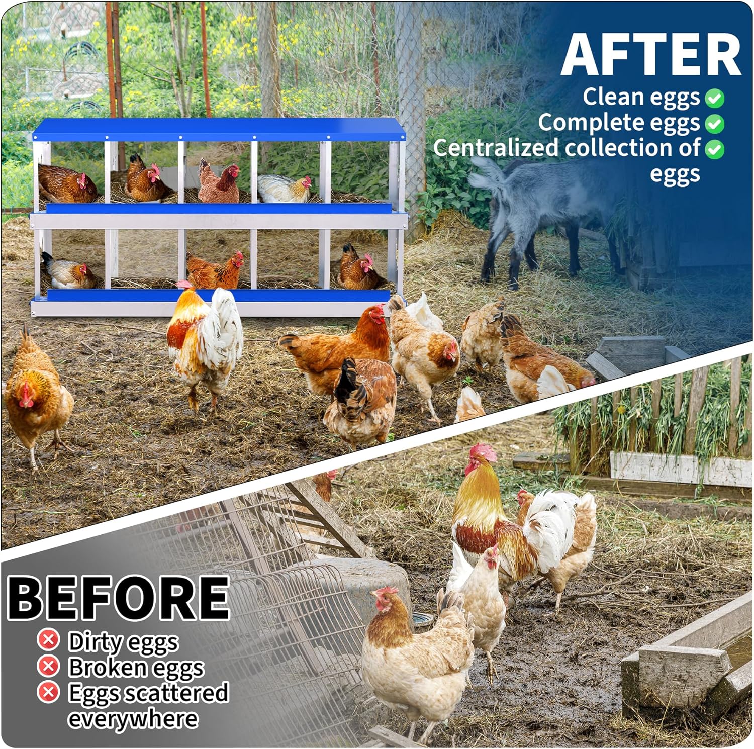 Qeetex WLS-PPG-33LQDDBV Chicken-Coops-Rabbit-Hutches - View #4