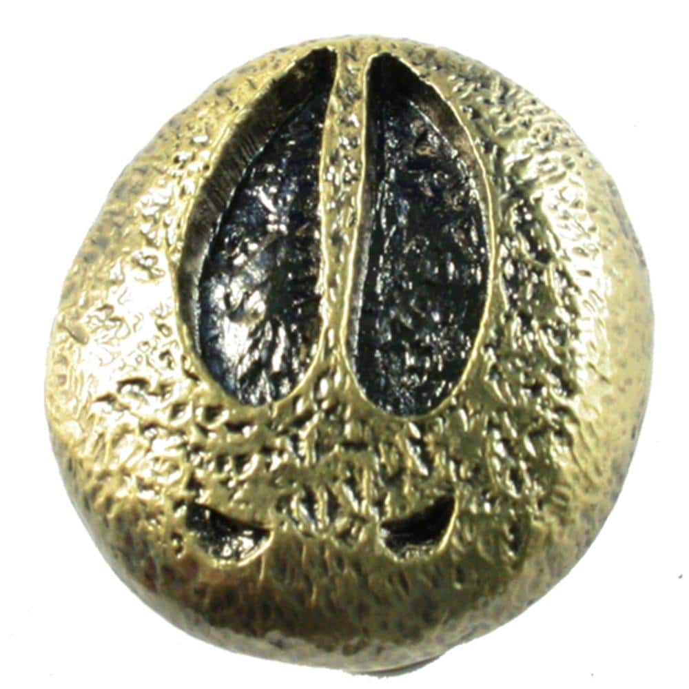 Sierra Lifestyles 681394 Antique brass Round Rustic Cabinet Knob