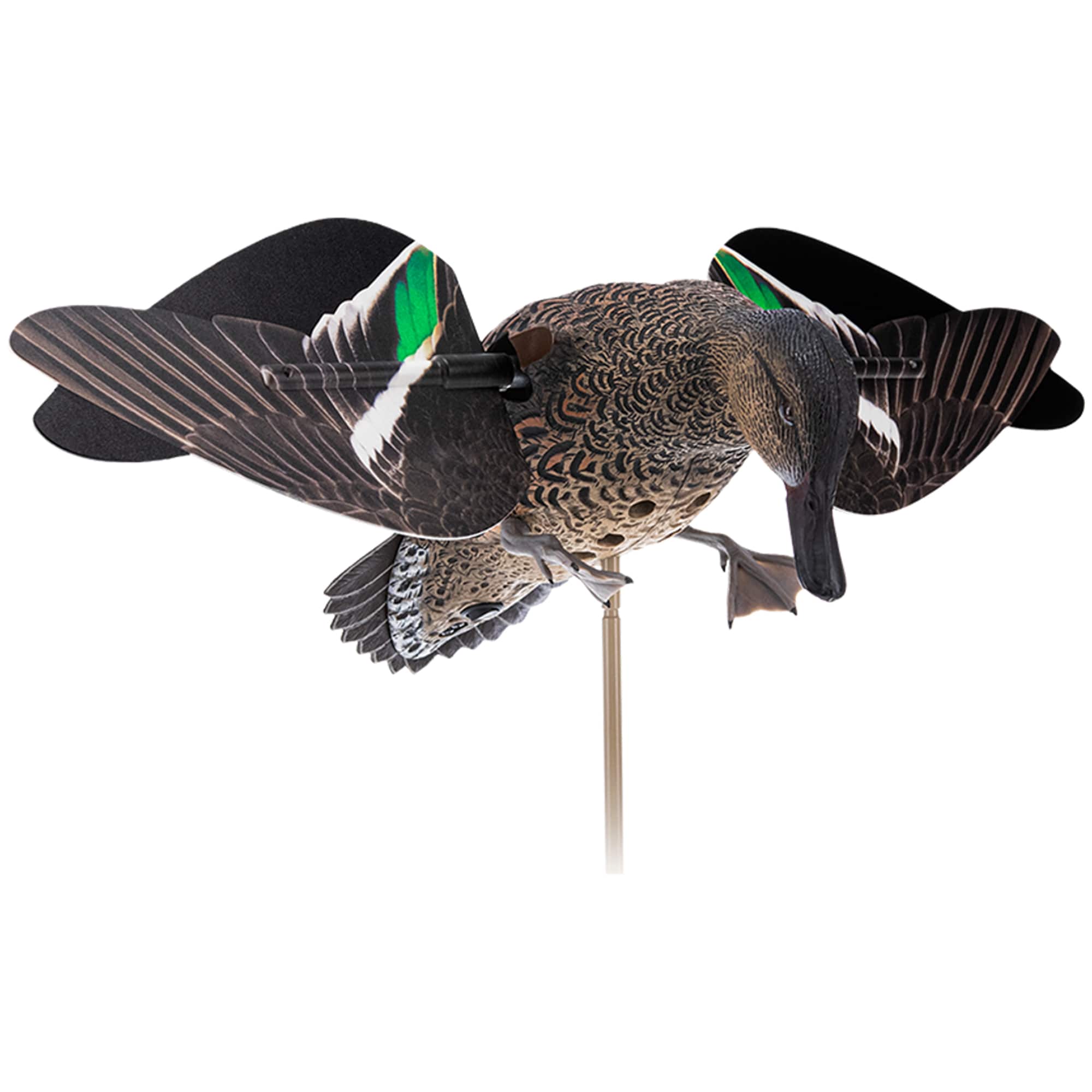 Avian X  Powerflight Hen Teal Green Wing Duck Decoy with Wings Stake and Carry Bag