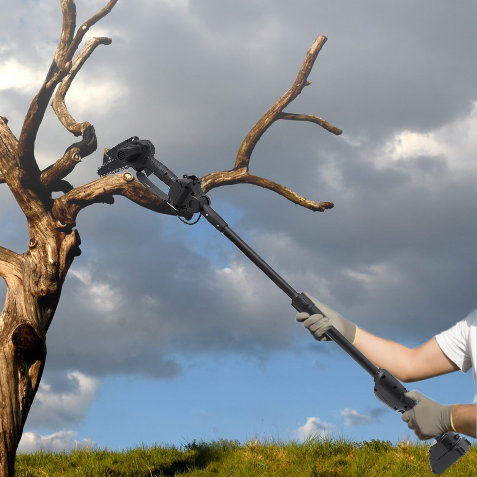 CNCEST YLNXSZA2USML8 Pole-Pruning - View #2