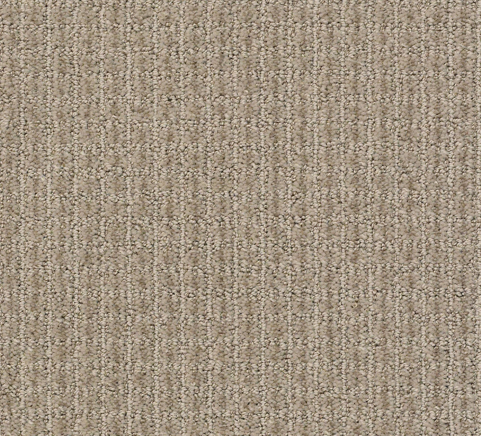 STAINMASTER PetProtect 7L88500701 Pawsh Party Burnished Clay Brown 29.2-oz sq yard Nylon Pattern Indoor Carpet