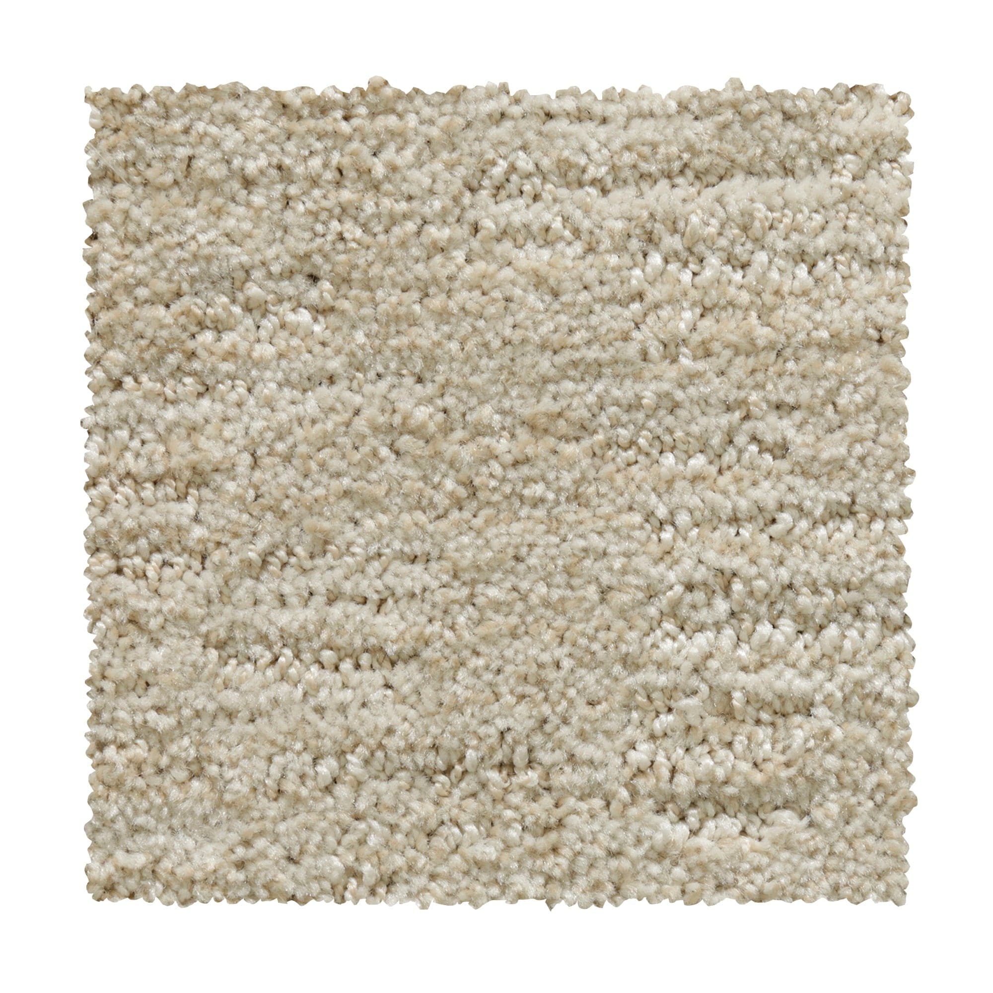 STAINMASTER LW187-L002-0808 (Sample) First Class Moonlight Off-white 37.2-oz sq yard Polyester Textured Indoor Carpet