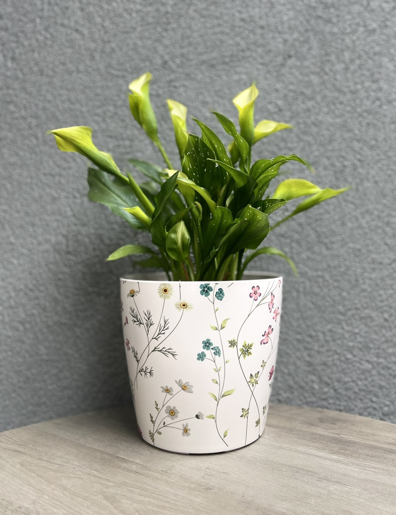  5-5710BG Planter-Window-Box - View #8