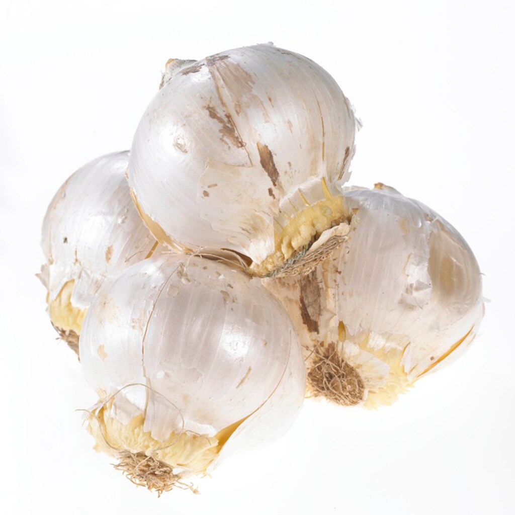 Van Zyverden 87128 Plant-Bulbs - View #5