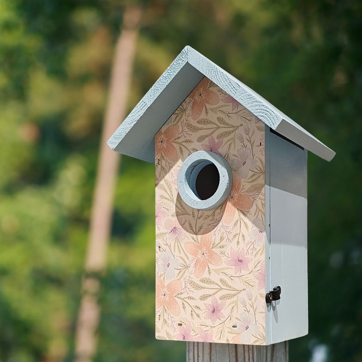 HomeGrown CBF-03963 Bird-Houses - View #7