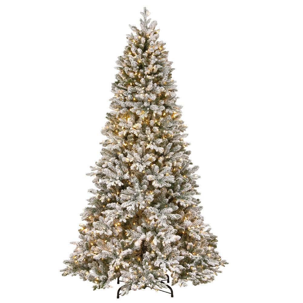 Winter Wonder Lane 7' Cheyenne Pre-Lit LED Artificial Christmas Tree with  Dual 9-Function Micro Lights