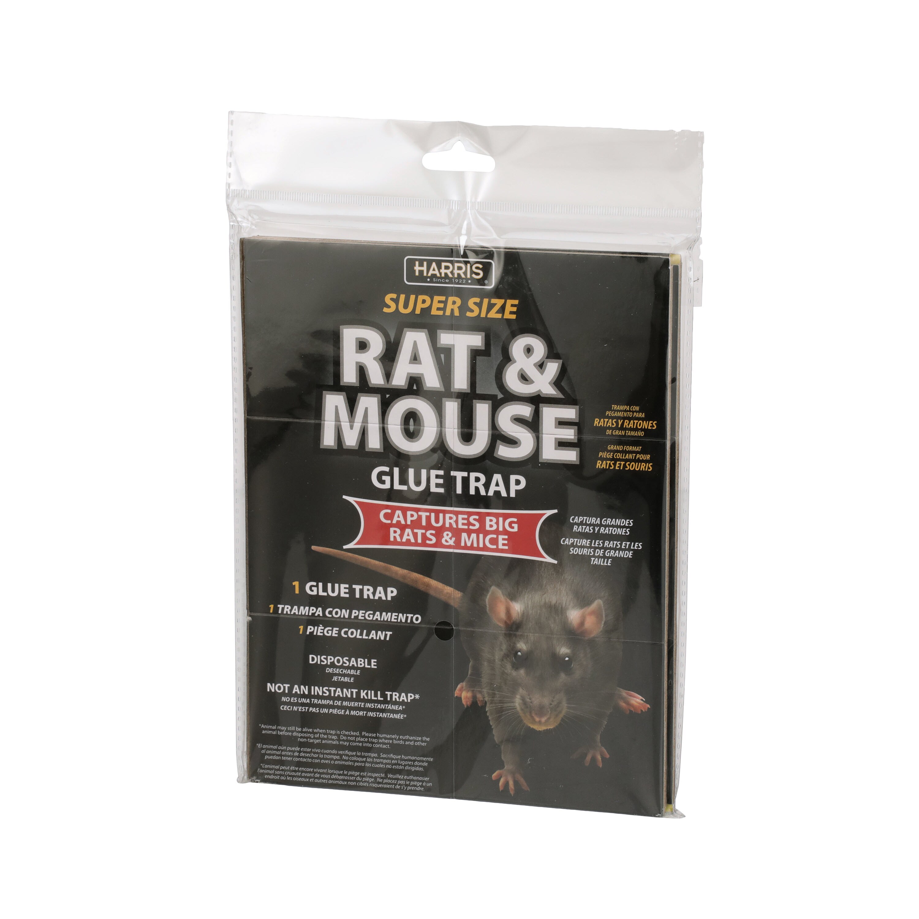 rat glue traps lowe's