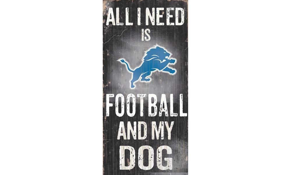 Sportula Detroit Lions Youthefan Nfl Detroit Lions Fan Cave Sign Youthefan  Team Colors Floater Frame 12.5-in H x 17-in W Sports 3D Art in the Wall Art  department at