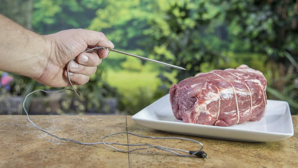 Char Broil Digital Remote Meat Thermometer at Lowes