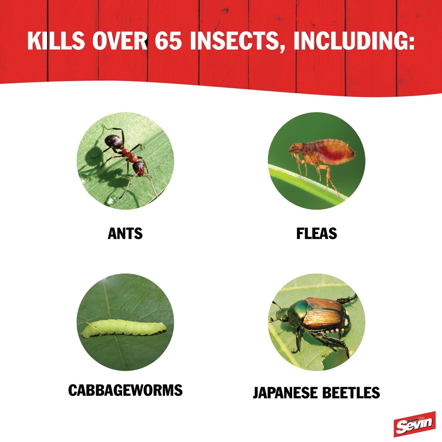 Sevin 1349907013 pesticides - View #5