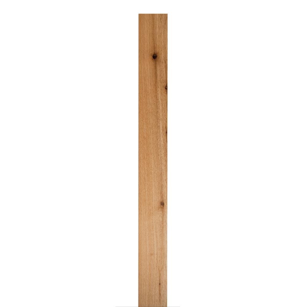 RELIABILT 1-in x 6-in x 10-ft Unfinished Cedar Board in the