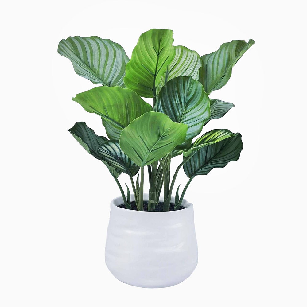 allen + roth 1200001 Artificial-Plants-Trees - View #2