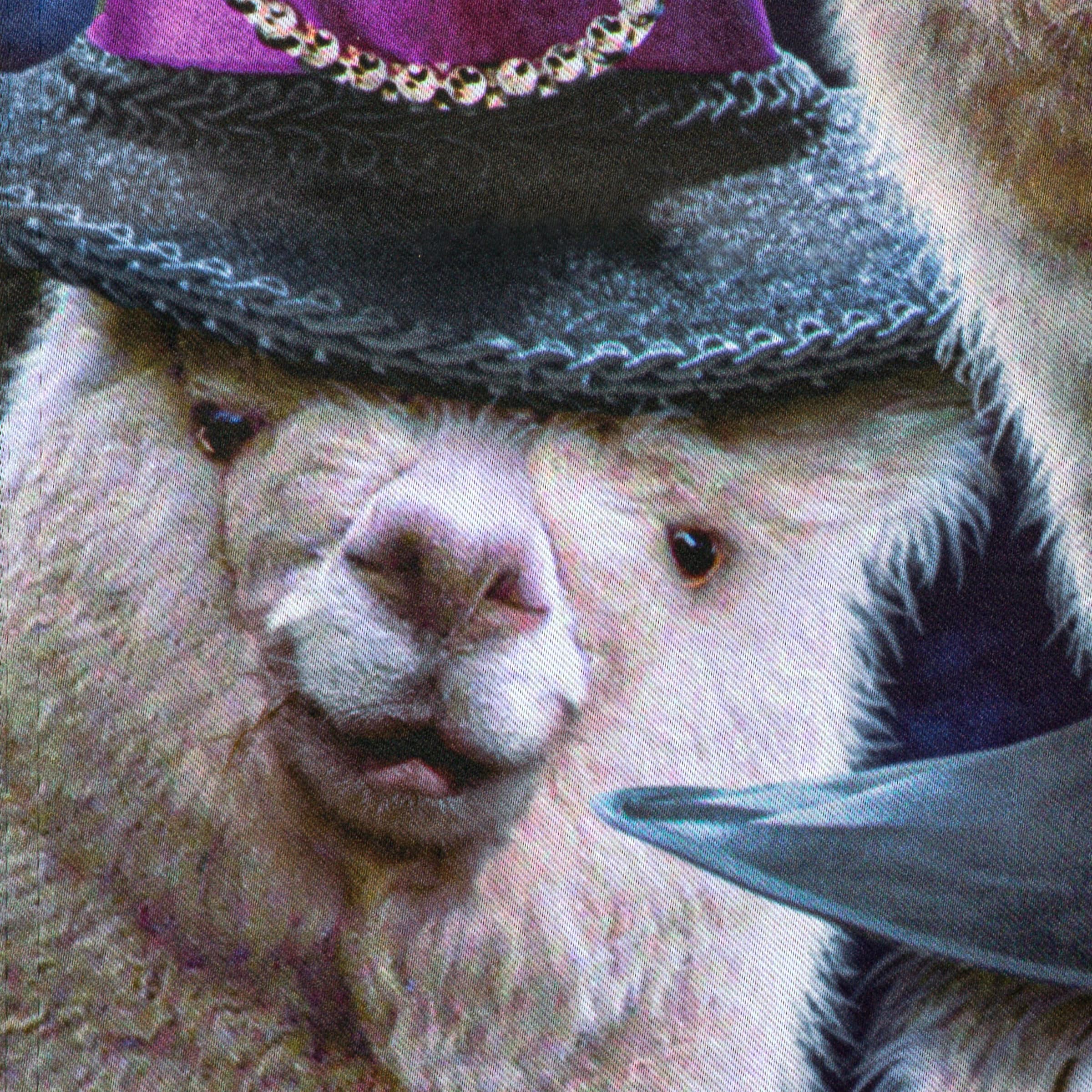 Style Selections ZLW14S14719 Decorative-Banner-Flags - View #6