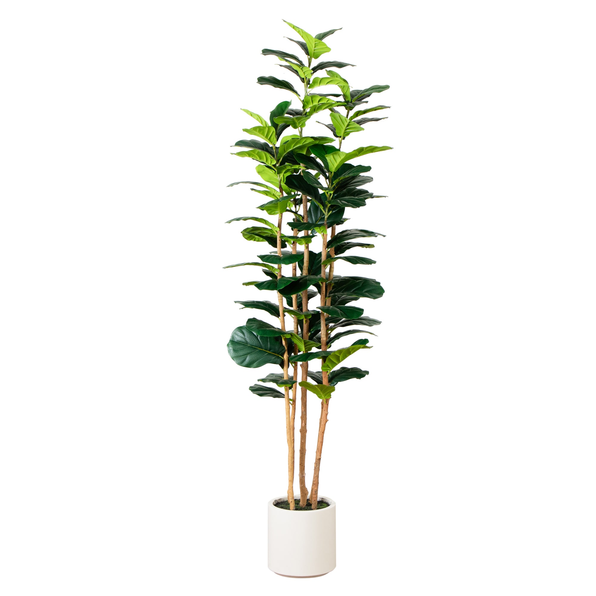 Nearly Natural T4777 84-in Green Indoor Floor Fiddle Leaf Artificial tree