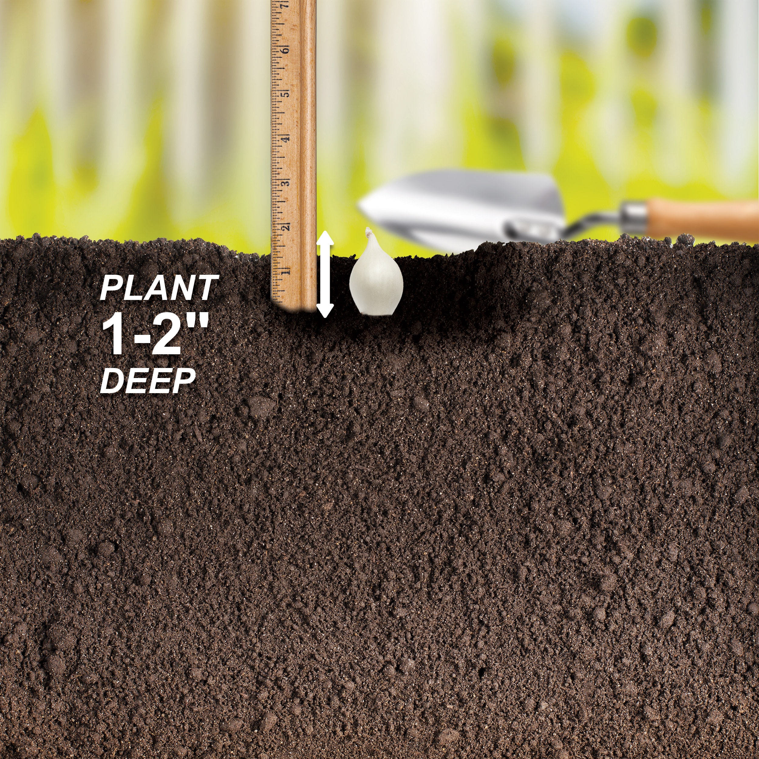 Garden State Bulb ECS-32-01-01 Vegetable-Herb-Seeds - View #4