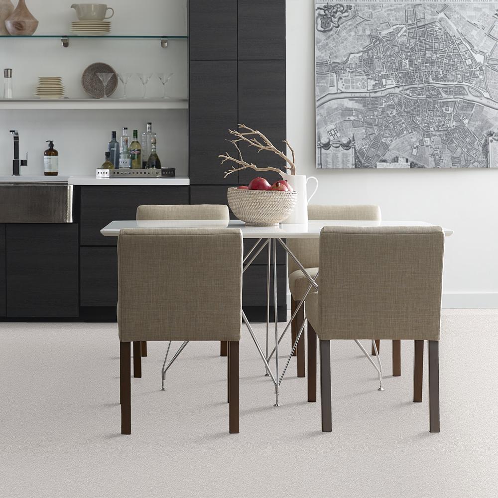 STAINMASTER 7L61300101  - View #3
