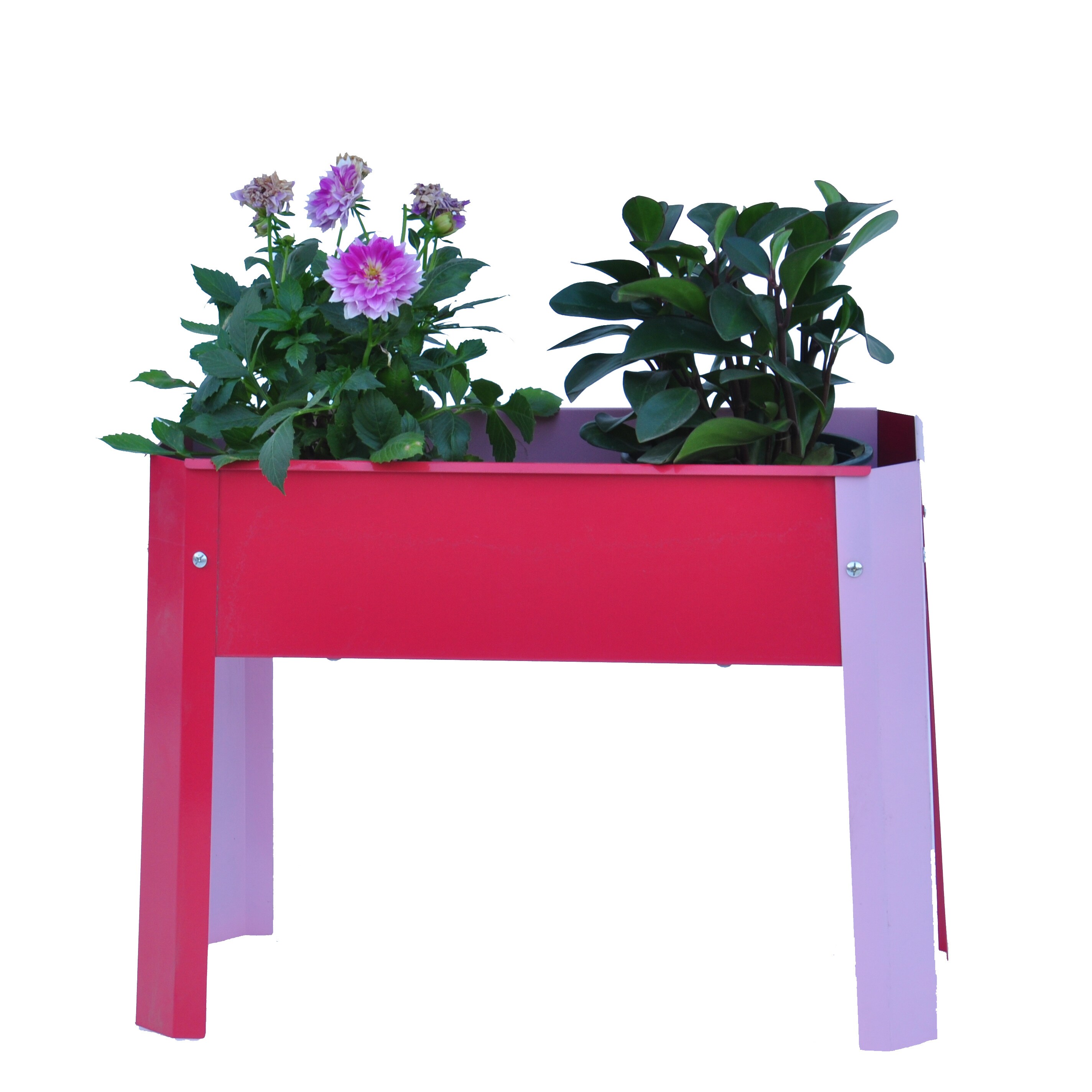 AHIOU HOME ZAAHG-83073GB 10.5-in W x 24-in L x 17.5-in H Pink&Red Metal Raised Planter Box