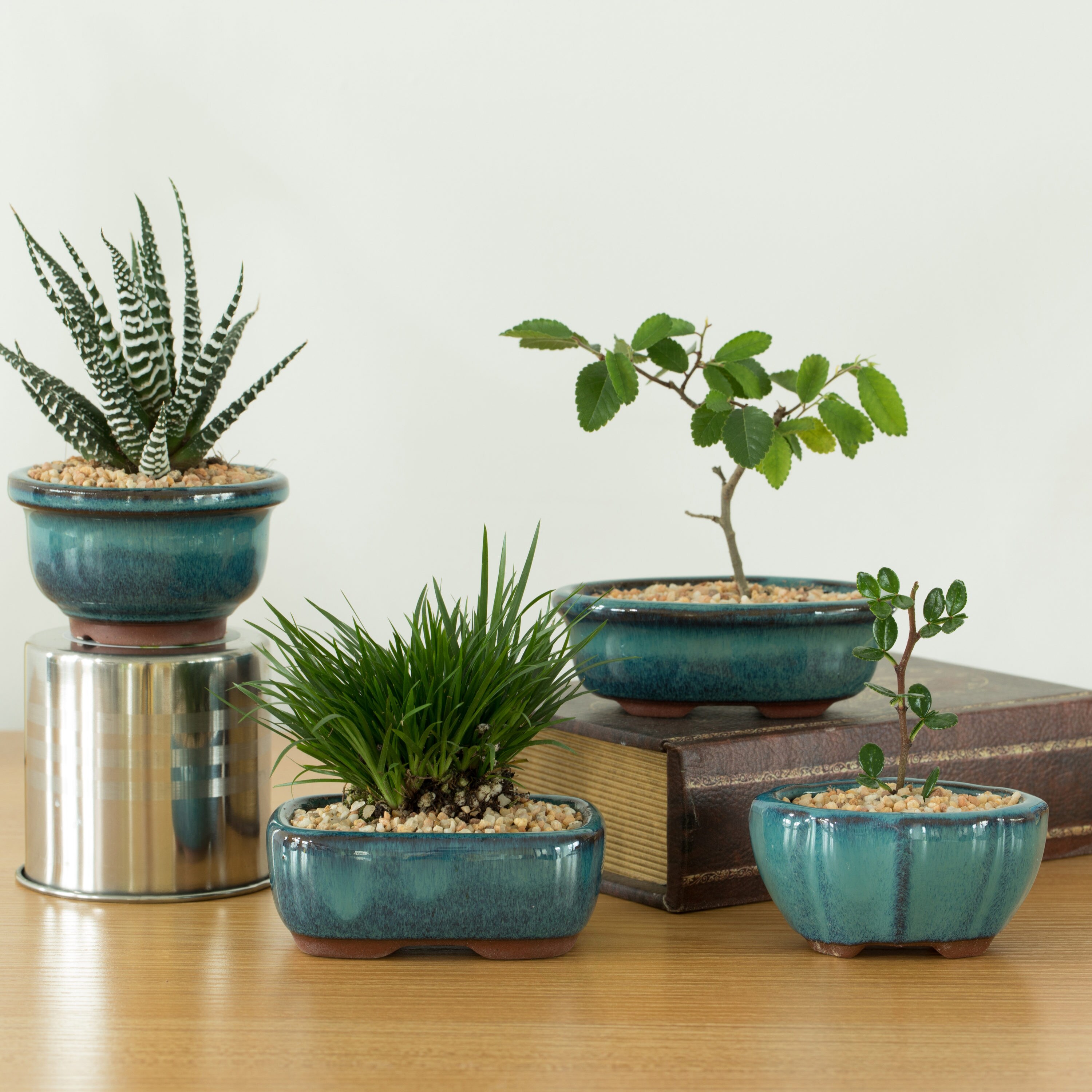 Gardenised QI004100 Planter-Window-Box - View #2