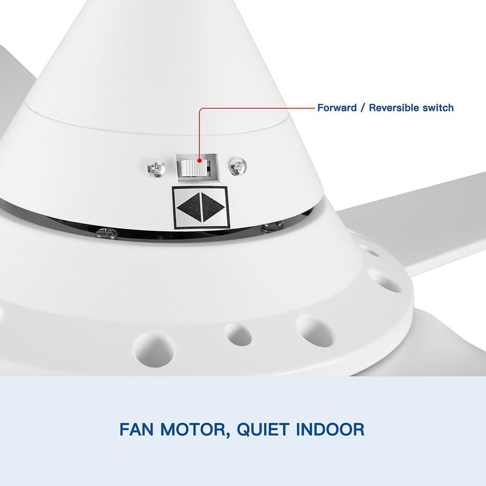 Sunrinx CF-21-DS Ceiling-Fans - View #3