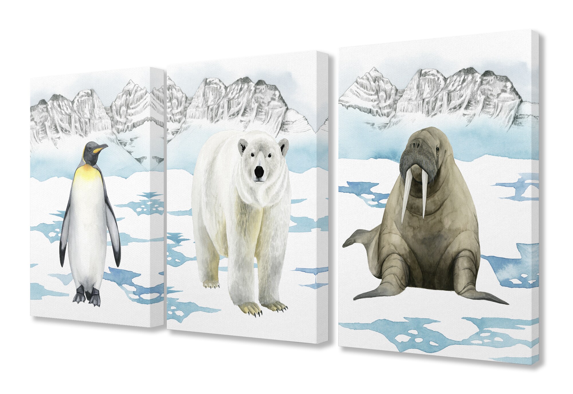 Stupell Industries AAP-205-CN-3PC-16X20 Arctic Penguin Bear Walrus Grace Popp 20-in H x 16-in W Animals Print on Canvas